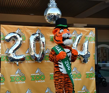 Noon Year’s Eve