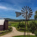 Dune Bird Winery