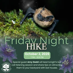 Friday Night Hike : Echoes in the Dark