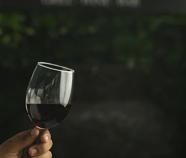 Wine Wednesday: Malbec