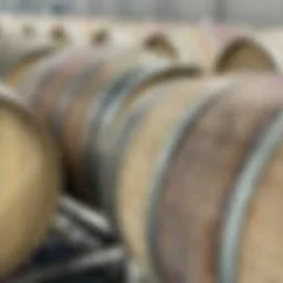 Winemaker's Tasting and Winery Tour