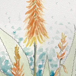 Cacti in Pen and Watercolor