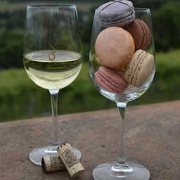 French Macaron & Wine Pairing
