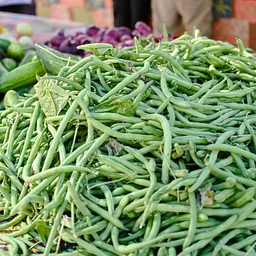 Farmers Market in the Plaza
