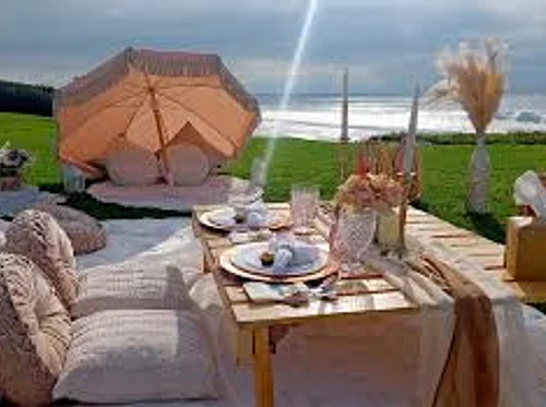 Posh Picnics in the Park