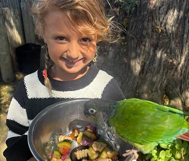 2026 Summer Parrot Camp ($250): Age 7-10