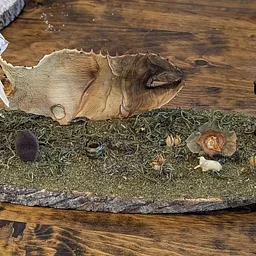 Tiny Terrains: Mini Botanical Landscapes Workshop