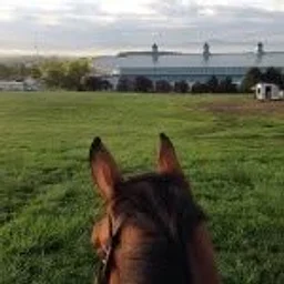 Virginia Horse Center