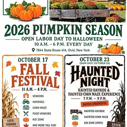 Fall Festival