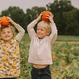 Pumpkin Jamboree