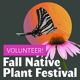 FULL: Volunteer for the Fall Native Plant Festival