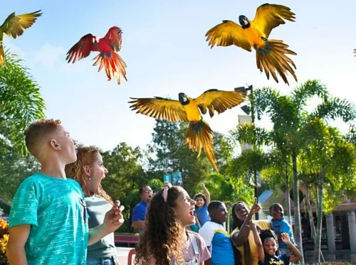 Conservation Connections: American Zoo Day 2026