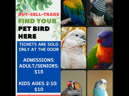 Exotic Bird Mart & Expo Inc.
