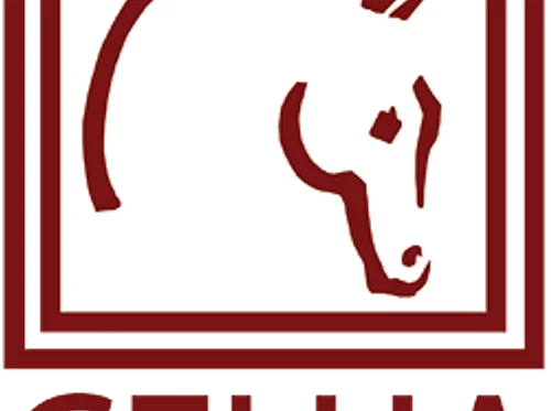 Central Florida Hunter and Jumper Association