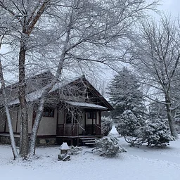 Holiday Studio Sale