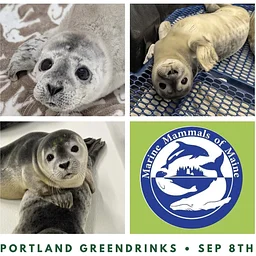 Greendrinks Pouring Event