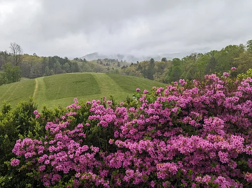 Spring Concentration 2026