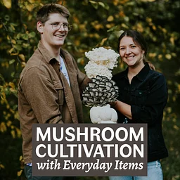 Mushroom Cultivation with Everyday Items