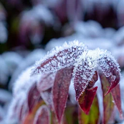 Member Exclusive: Preparing Winter Collections