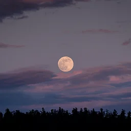 Full Moon Hike with Catskill Center Executive Director