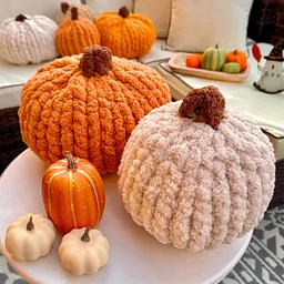 Chunky Knit Stuffed Pumpkin DIY Workshop (10/7/26 - Amherst)
