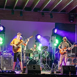 Live Music - Stealin the Farm