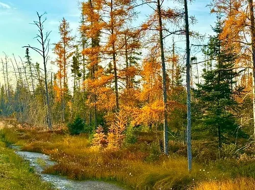 Nature’s Palette: Art Inspired by the Season