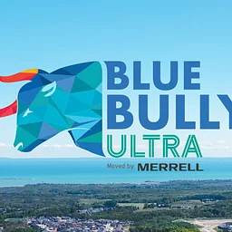 Blue Bully