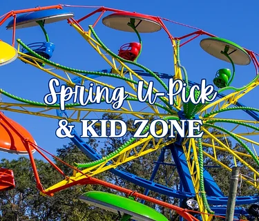 Spring U-Pick + Fun Zone