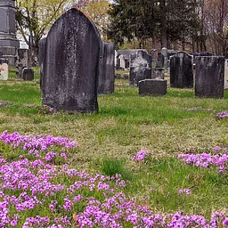 Grave Tales Told at Rollinsford’s Old Town Cemetery