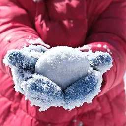 Magic of Winter Picture Hunt: Dec. 7-31 - All Library Locations