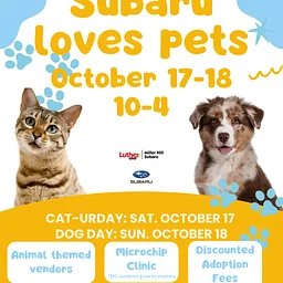 Subaru Loves Pets Adoption Event