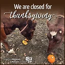 SM&NC Closed for Thanksgiving