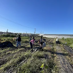 Weekly Volunteer Hours at KGD Farm - October 8