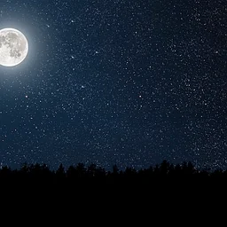 Bridgeport Astronomy Nights
