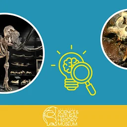 Early Explorers: Measuring Monsters
