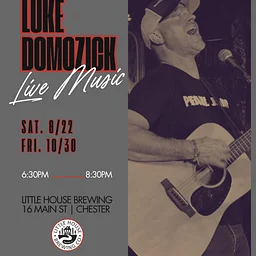 Live Music: Luke Domozick