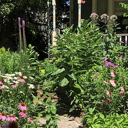 Conservation@Home: Rain Gardening 101