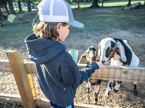 Family Farm Day