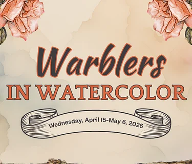 Warblers in Watercolor: Black-throated Blue Warbler