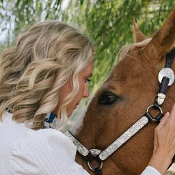 Kensho Stables