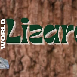 World Lizard Day