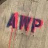 American Wine Project