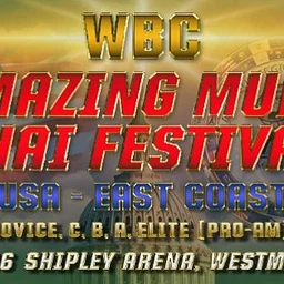 Muay Thai Martial Arts Festival – 17th & 18th