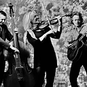 Hot Club of Cowtown