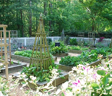 Fall in the Kitchen Garden