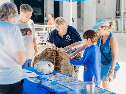 Sea Turtle Awareness Day 2026