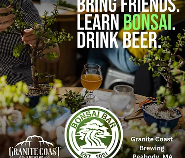 Bonsai Bar