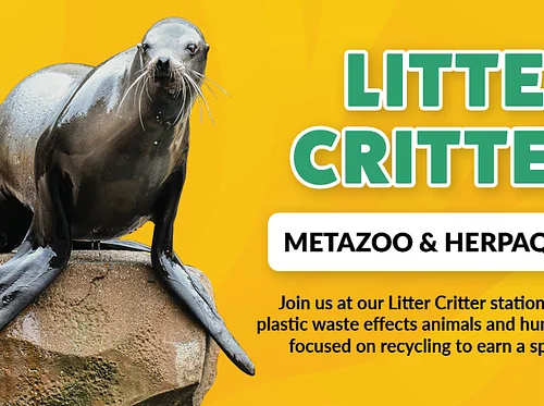 Early Childhood Pop-Up: Little Critters