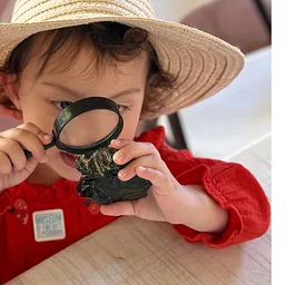 Homeschool Hours | STEAM
